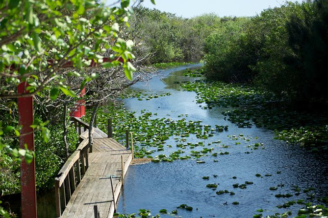 Everglades Airboat, Wildlife Show, and Roundtrip Bus From Miami - How Much Value You’re Getting for $49.20