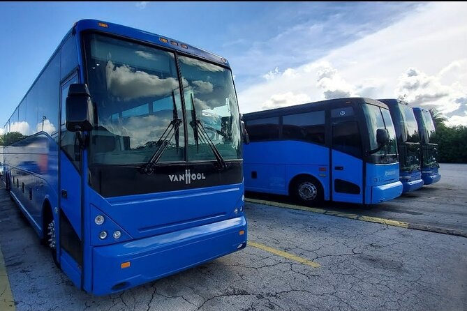 Everglades Alligator Airboat Tour with Bus transfer from Miami - Price and Logistics: What You’re Really Paying For