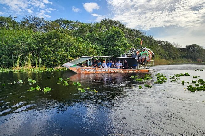 Everglades Alligator Airboat Tour with Bus transfer from Miami - Bus vs. DIY: Why This Package Makes Sense From Miami