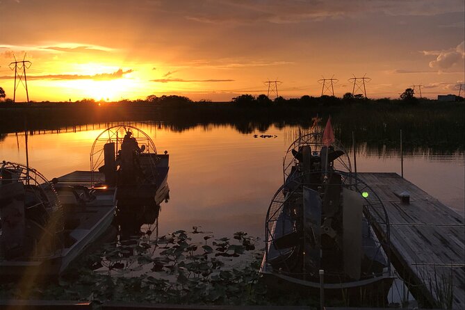 Everglades at Night with Airboat and Alligators Tour From Miami - Gliding Through Sawgrass at Night: How Alligator Spotting Works