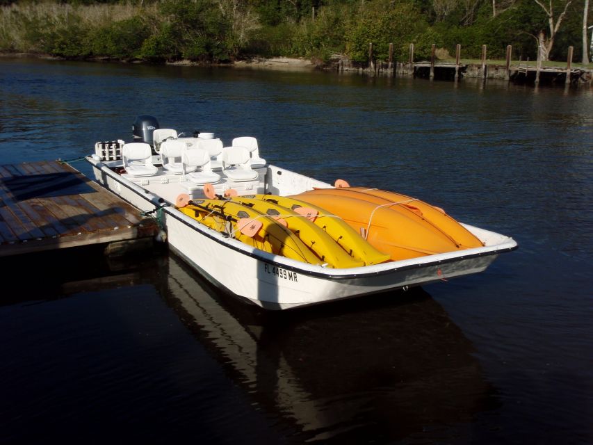Everglades: Boat Assisted Kayak Eco Tour - What You’re Most Likely to See: Birds, Manatees, Dolphins, and More