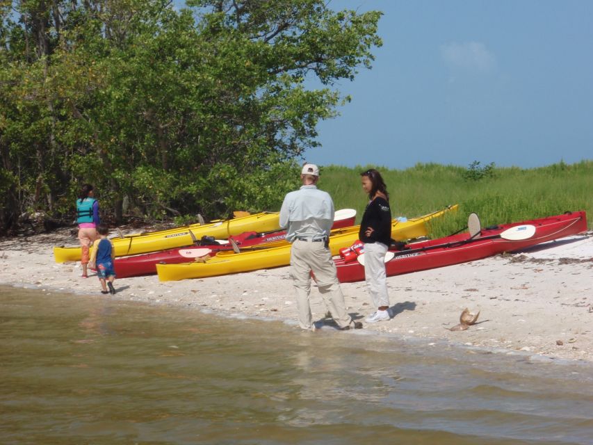 Everglades: Boat Assisted Kayak Eco Tour - Your Day’s Route: Boat Cruises, Two Kayak Sessions, and a Walk