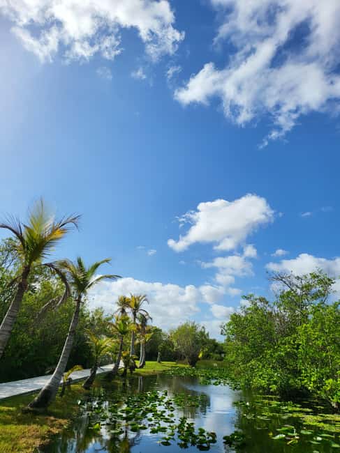 Everglades: boat tour with transportation& entrance included - Pickup in Miami Beach at 9:00 AM or 2:00 PM