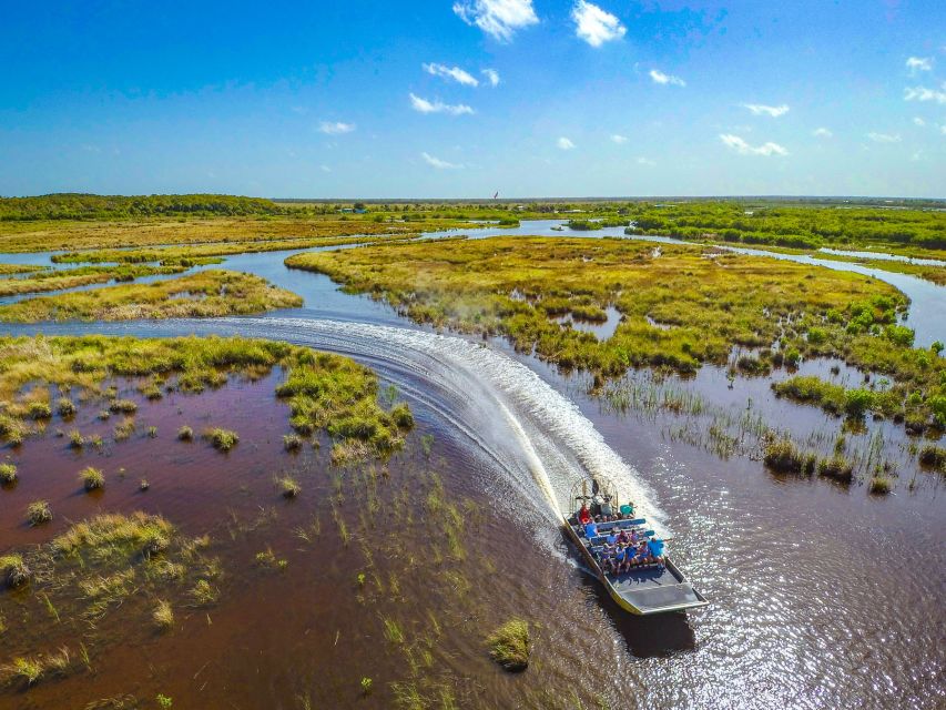 Everglades City: Guided Kayaking Tour and Airboat Ride - Wildlife spotting: what you can see, and what can change