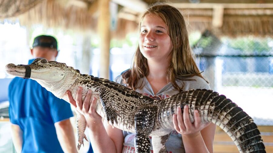 Everglades City: Guided Kayaking Tour and Airboat Ride - Everglades City Boardwalk: a short walk that rounds out the day