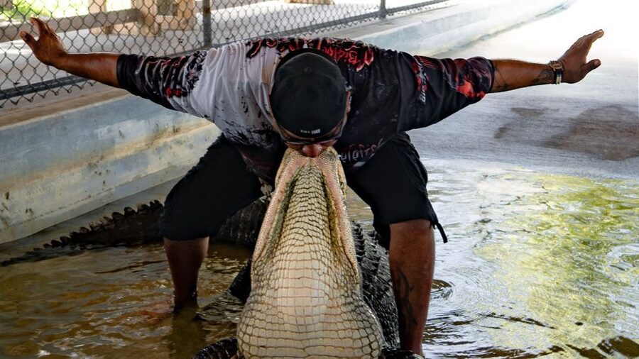 Everglades City: Guided Kayaking Tour and Airboat Ride - Price and value: how $149 stacks up for a two-mode Everglades day