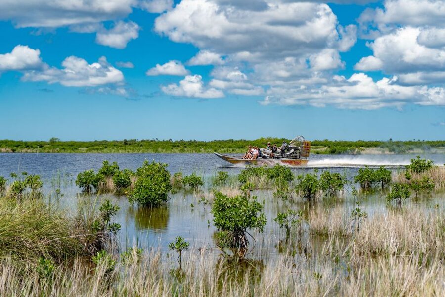 Everglades City: Guided Kayaking Tour and Airboat Ride - Who this tour fits best (and who should skip it)