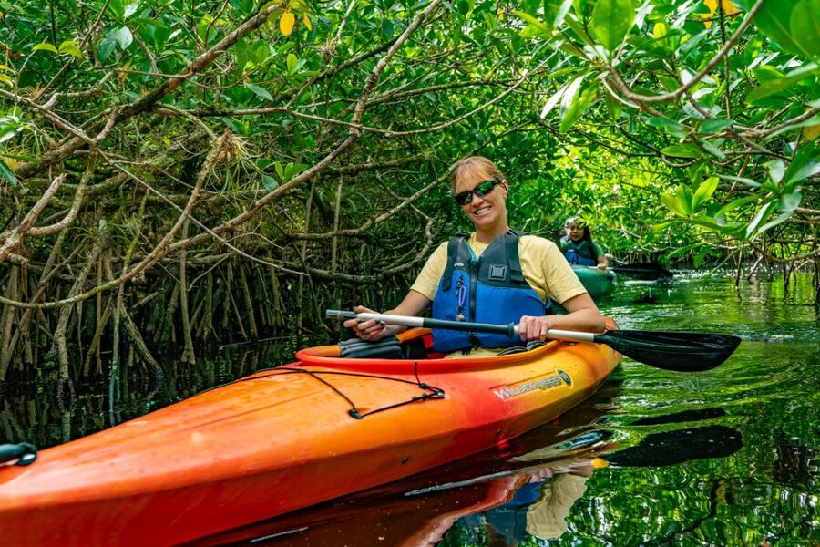 Everglades City: Guided Kayaking Tour and Airboat Ride - Kayak training and the mangrove tunnel route