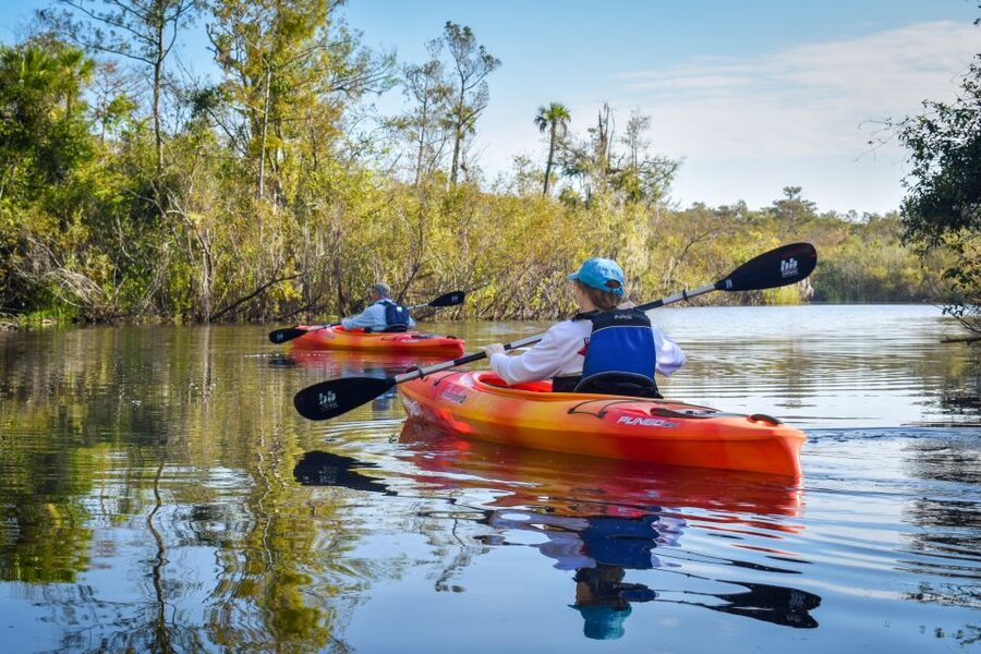 Everglades City: Guided Kayaking Tour of the Wetlands - Everglades City Kayak Tour: Mangrove Tunnels Are the Main Event