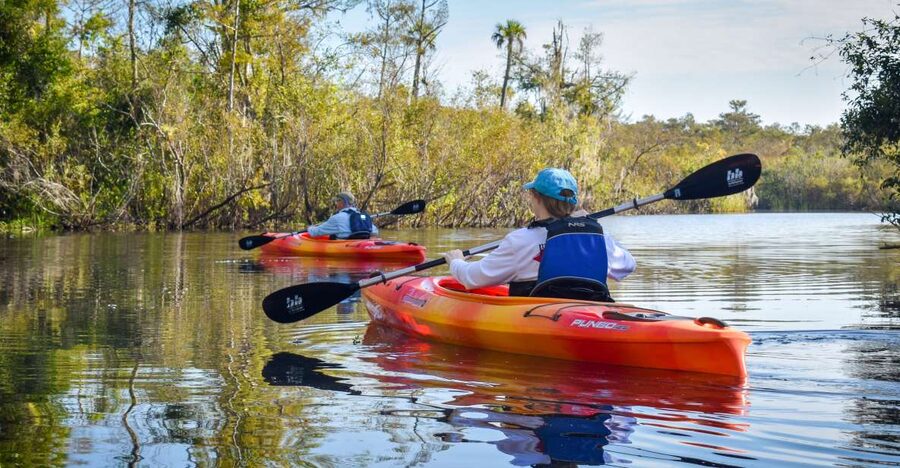 Everglades City: Guided Kayaking Tour of the Wetlands - Paddle Orientation First: How You’ll Actually Handle the Kayak