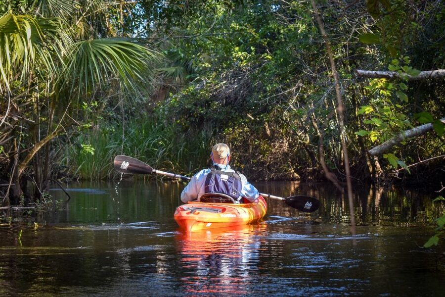 Everglades City: Guided Kayaking Tour of the Wetlands - Wildlife Spotting: Alligators, Raptors, and a Lot of Birds