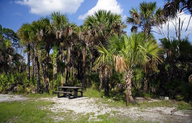 Everglades Day Safari from Miami - Key Things I’d Highlight Before You Go