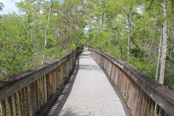 Everglades Day Safari from Miami - What $250 buys you (and how to judge the value)