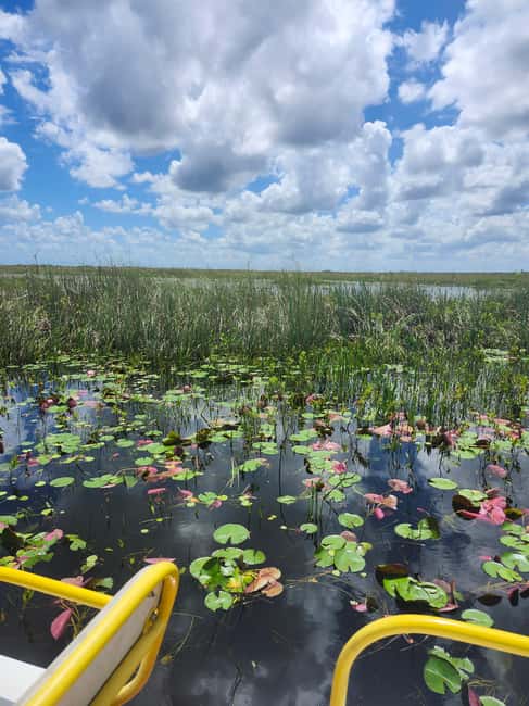 Everglades Eco Airboat Small-Group Tour & 2 Private Islands - Key things worth knowing before you go