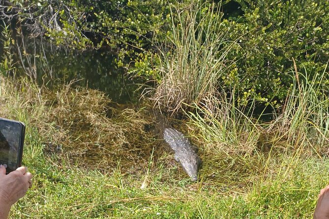 Everglades Eco Airboat Tour-Small Group & 2 Private Islands - Key Highlights You’ll Notice Right Away