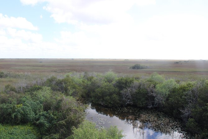 Everglades Eco Airboat Tour-Small Group & 2 Private Islands - The Private One-Hour Airboat Ride: Why Elevated Seats Matter