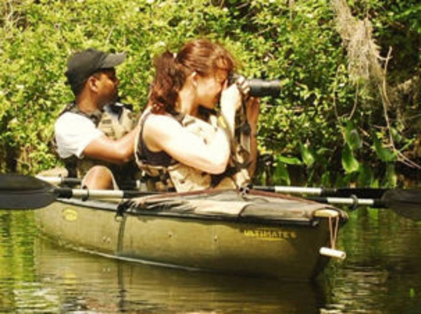 Everglades: Everglades Alligators and Orchids Kayak Eco Tour - Orchids and Air Plants: Why Timing Changes Everything