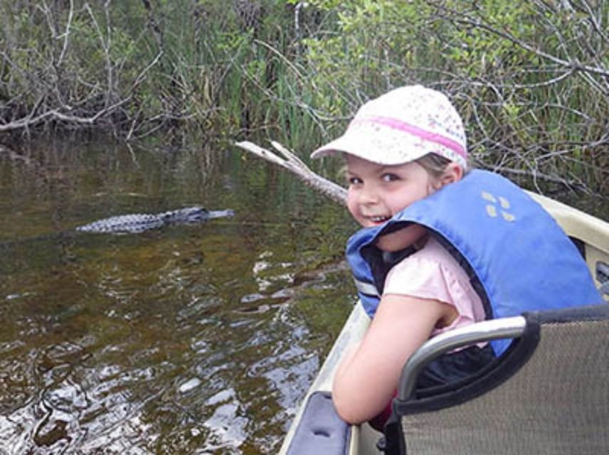 Everglades: Everglades Alligators and Orchids Kayak Eco Tour - Price and Value: Is $130 Worth It?