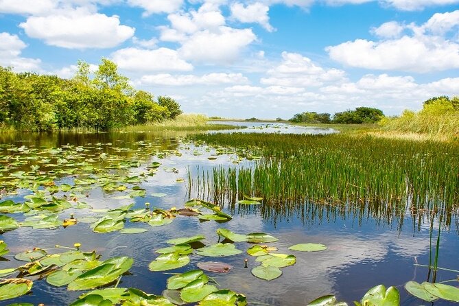 Everglades Express From Miami with Safari Airboat Ride - Price and value: is $140.43 actually reasonable?