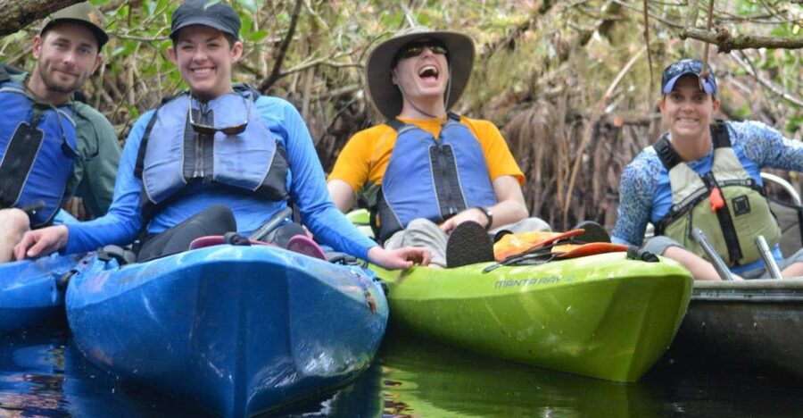 Everglades Kayak Safari Adventure Through Mangrove Tunnels - Key points before you paddle