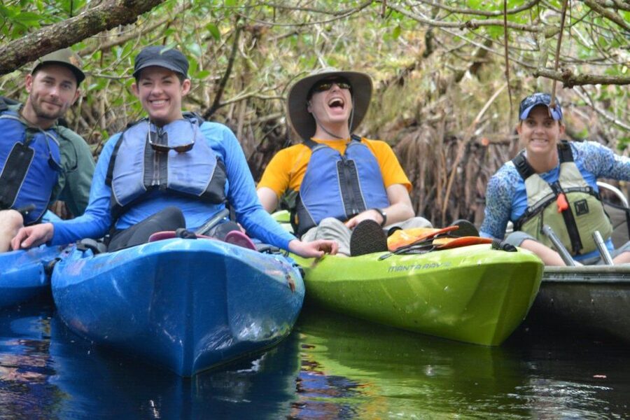 Everglades Kayak Safari Adventure Through Mangrove Tunnels - Why the Turner River mangrove tunnels are special (freshwater meets brackish)
