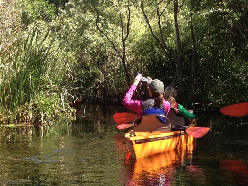 Everglades Kayak Safari Adventure Through Mangrove Tunnels - Meeting point at Tamiami Trail and Highway 29: logistics that matter