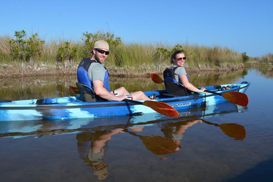 Everglades Kayak Safari Adventure Through Mangrove Tunnels - Price and value: is $99 worth it for a 3-hour naturalist kayak?