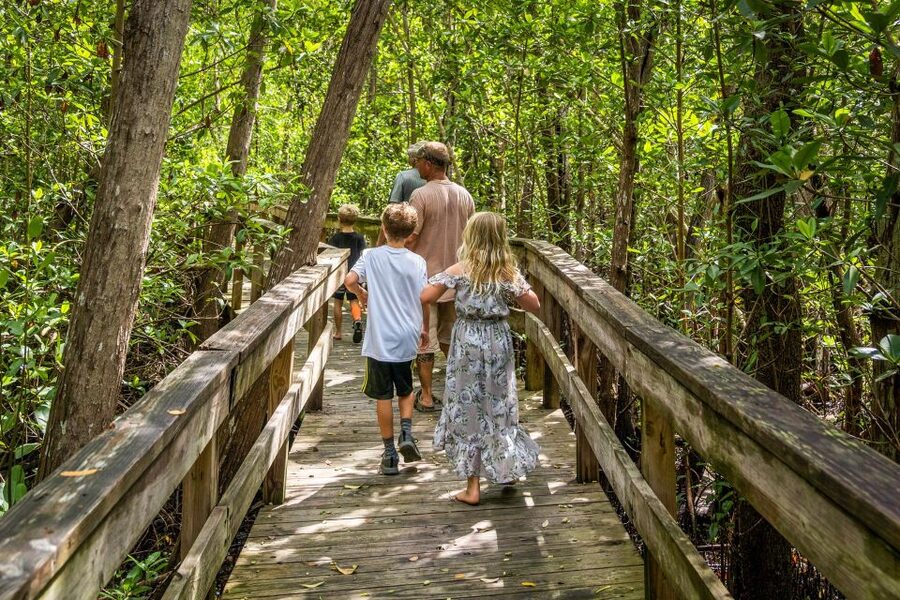 Everglades: Mangrove, Grassland Airboat Tours, & Boardwalk - Quick Hits Before You Go