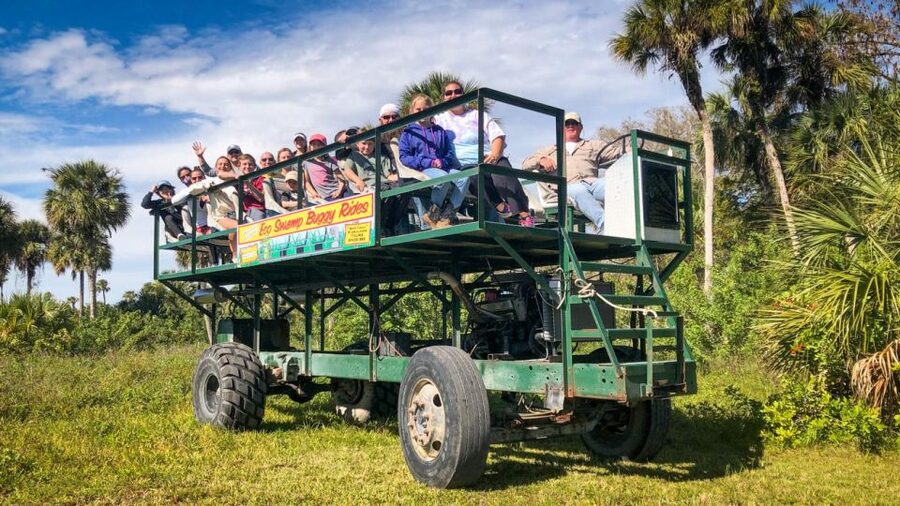 Everglades: Mangrove Maze Airboat Tour and Boardwalk - Entering The Everglades Mangrove Maze on an Airboat