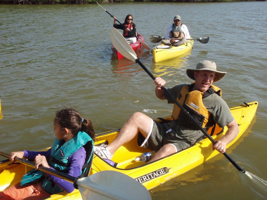 Everglades National Park 3-Hour Kayak Eco Tour - What you’re likely to see: birds, manatees, dolphins, and more