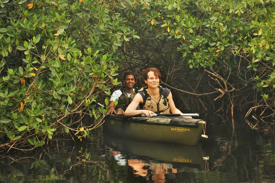 Everglades National Park: Mangrove Tunnel Kayak Eco-Tour - Key Things I’d Prioritize on This Everglades Mangrove Kayak Tour