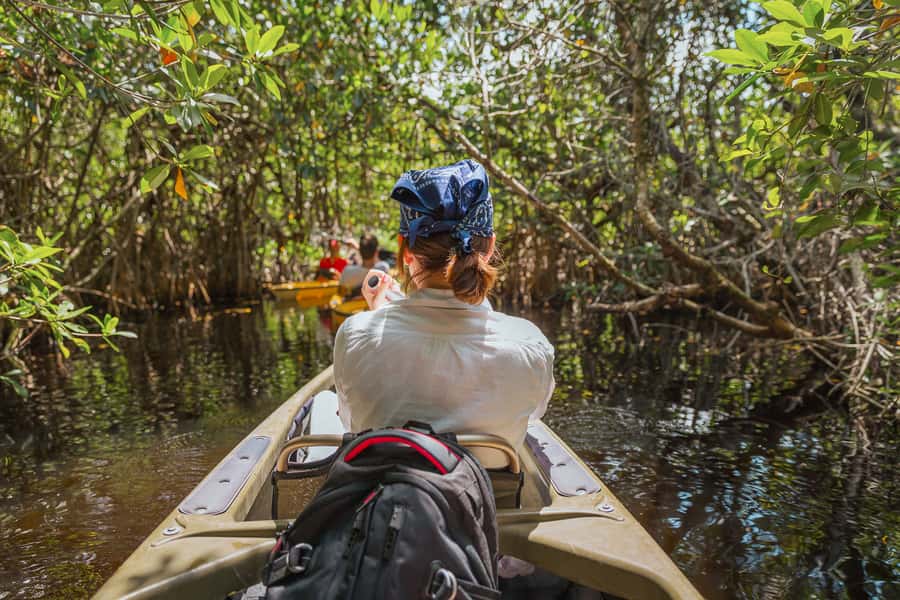 Everglades National Park: Mangrove Tunnel Kayak Eco-Tour - Why Mangrove Tunnels in Everglades Creeks Feel Different
