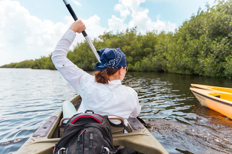 Everglades National Park: Mangrove Tunnel Kayak Eco-Tour - Kayaks, Paddling, and the Setup That Keeps It Friendly