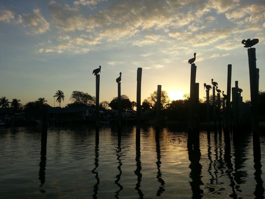 Everglades National Park: Motorboat Eco Tour - Key things that make this tour worth your time
