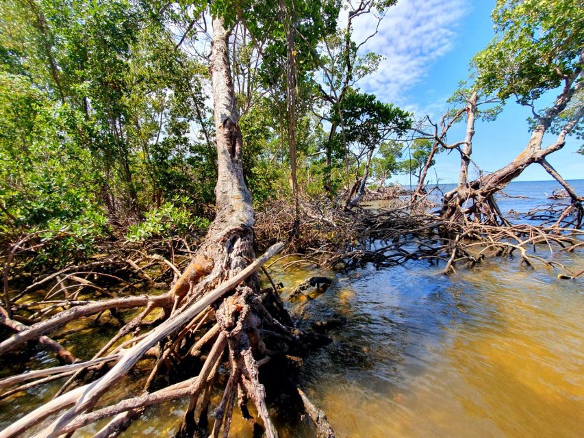 Everglades National Park: Motorboat Eco Tour - Should you book this Everglades motorboat eco tour?
