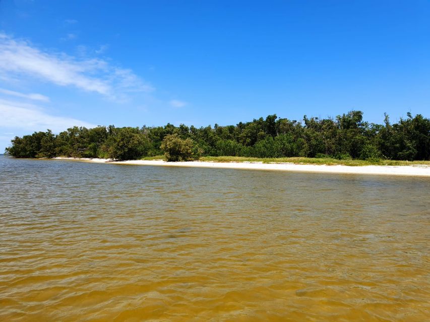 Everglades National Park: Motorboat Eco Tour - Price and value: $173 per person in context