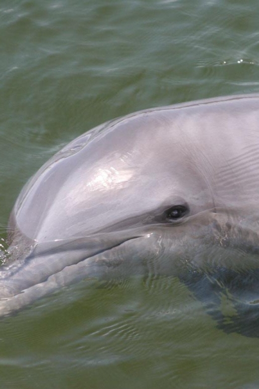 Everglades National Park: Pontoon Boat Tour & Boardwalk - Ten Thousand Islands by pontoon: what you’re really paying for