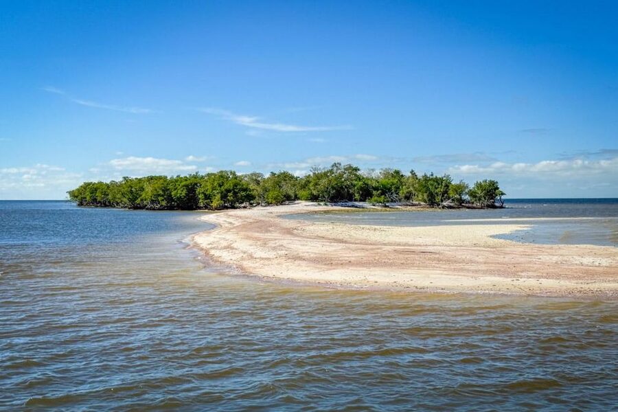 Everglades National Park: Pontoon Boat Tour & Boardwalk - Price and value: how $60 stacks up with the Park entrance pass