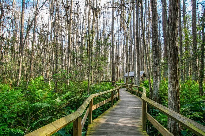 Everglades National Park: Self Guided Driving Audio Tour - Everglades at Road-Speed: What This Audio Tour Actually Gives You