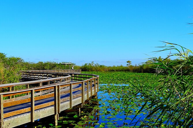 Everglades National Park: Self Guided Driving Audio Tour - The Drive South: Stop-by-Stop Highlights (What to Expect)