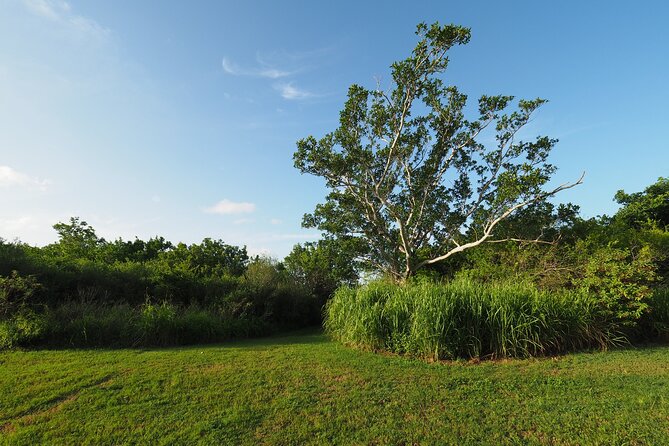 Everglades National Park: Self Guided Driving Audio Tour - Trail Breaks That Help You See More Than One Everglades