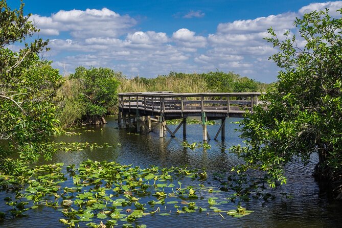 Everglades National Park: Self Guided Driving Audio Tour - Wildlife-Spotting Reality: How to Get Better Results with Less Stress