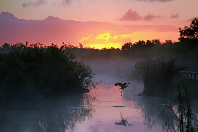 Everglades National Park: Self Guided Driving Audio Tour - Price and Value: One Car, Up to Four People