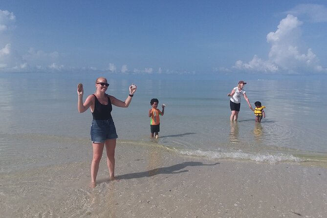 Everglades Small Group Guided Boating and Walking Expedition - Key takeaways before you go