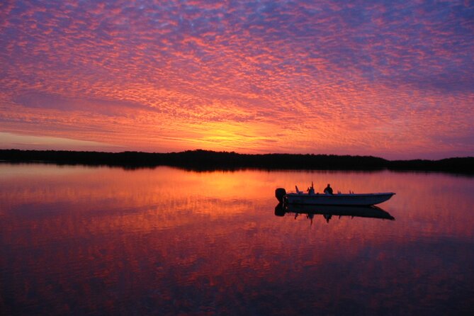 Everglades Small Group Guided Boating and Walking Expedition - Quiet boat time inside Everglades National Park’s Ten Thousand Islands
