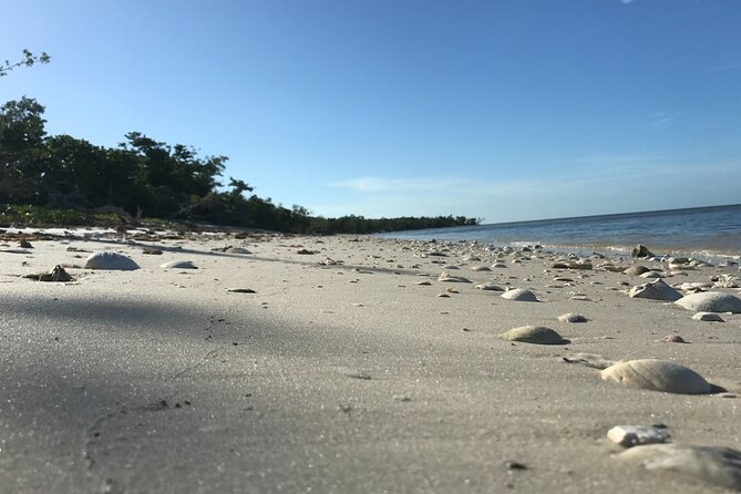 Everglades Small Group Guided Boating and Walking Expedition - Small group of six: why the experience feels more personal