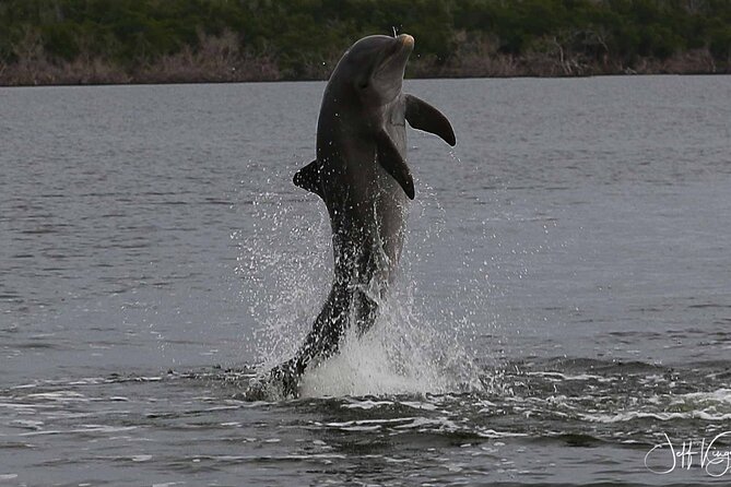 Everglades Small Group Guided Boating and Walking Expedition - Price and value: what $199.95 buys you (and what to double-check)
