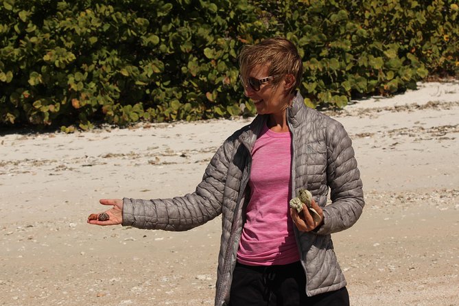 Everglades Small Group Guided Boating & Walking Tour Expedition - Price and value: why $199.95 can make sense