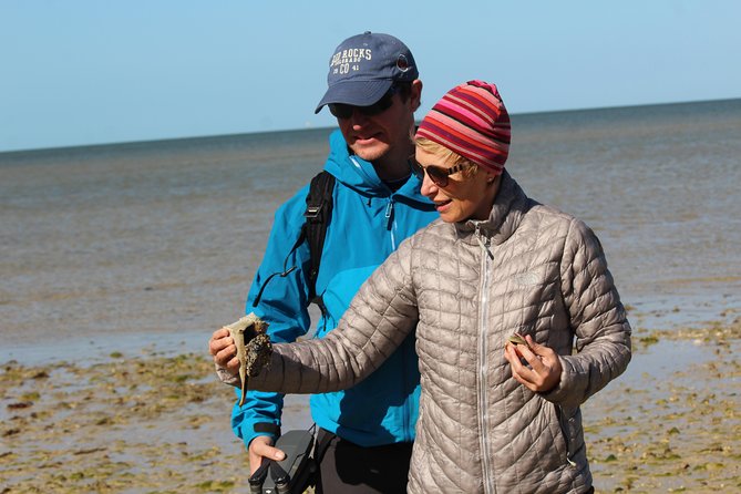 Everglades Small Group Guided Boating & Walking Tour Expedition - Wildlife spotting you can actually plan around