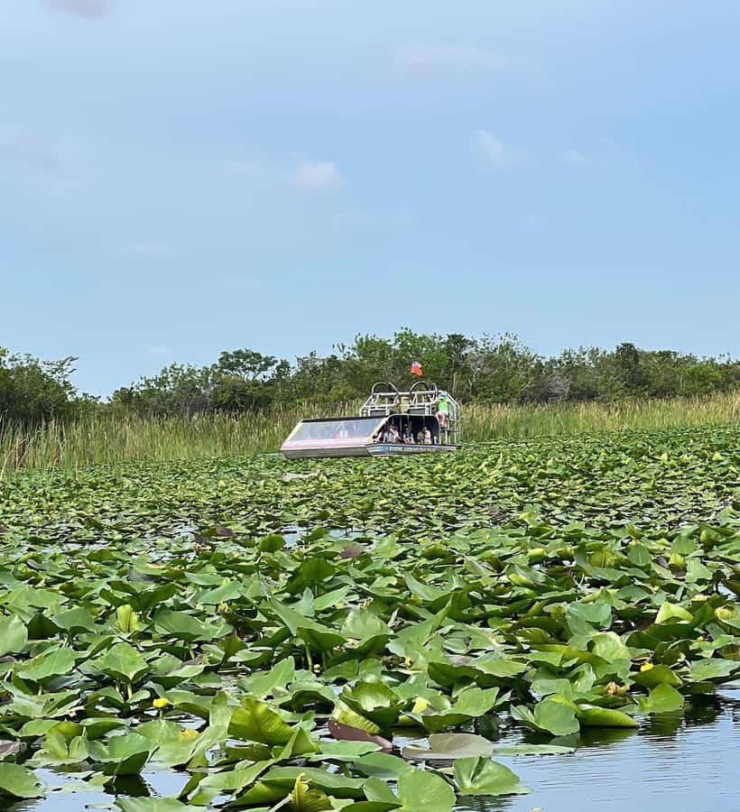 Everglades Small Group on Airboat with Transportation - Return to Miami: Gift Shop Time and a Smooth Drive Back